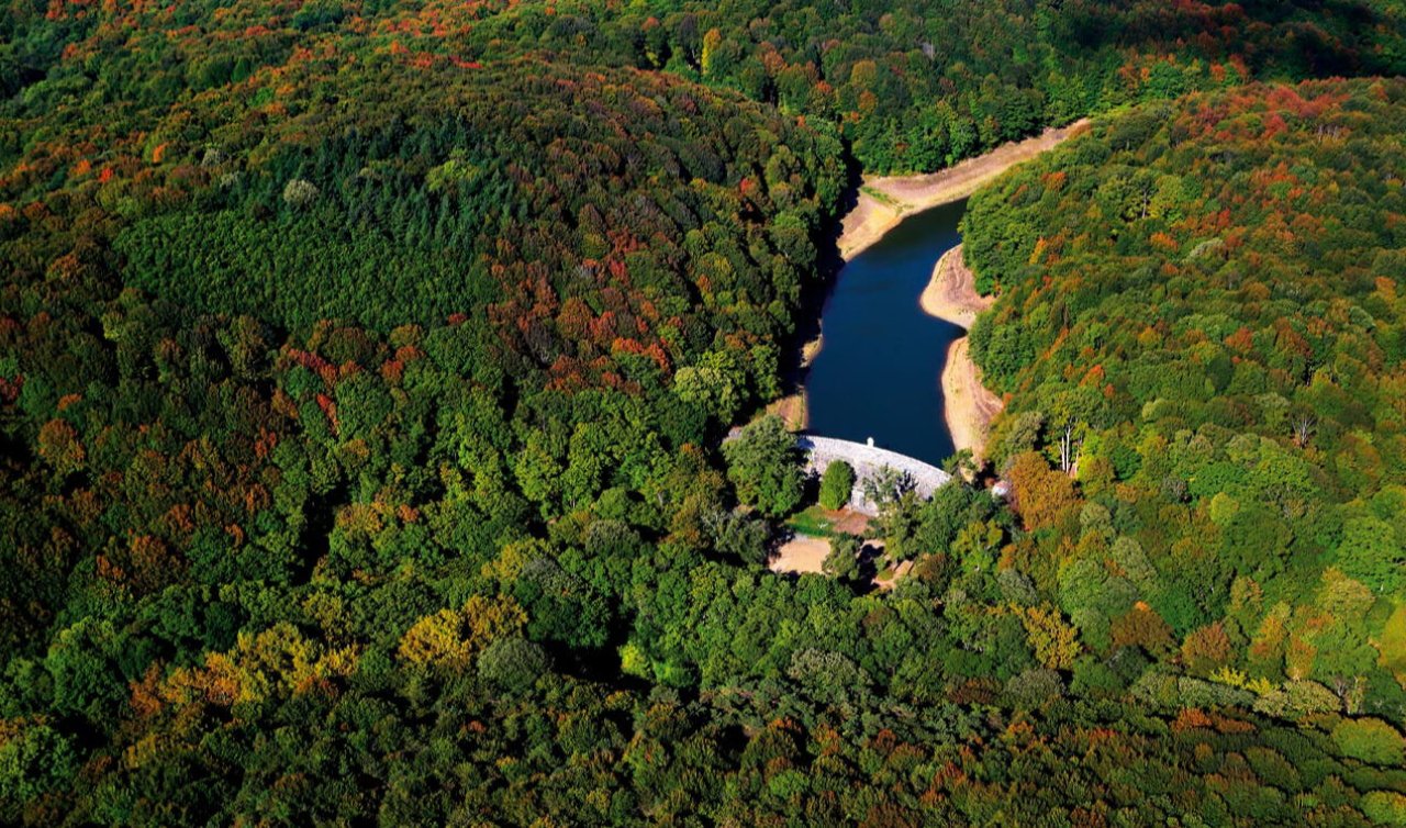 Belgrad Ormanı