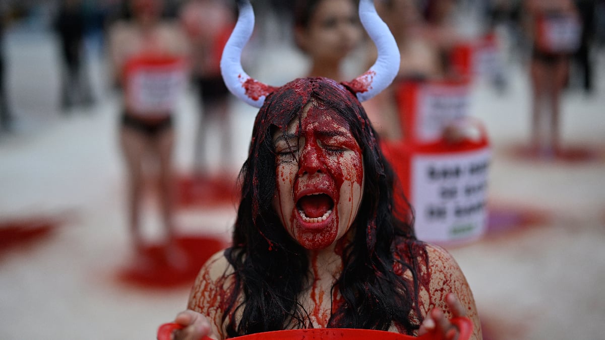 Madrid’de Boğa Güreşlerine Protesto Zulüm Kültürel Miras Olamaz (1)