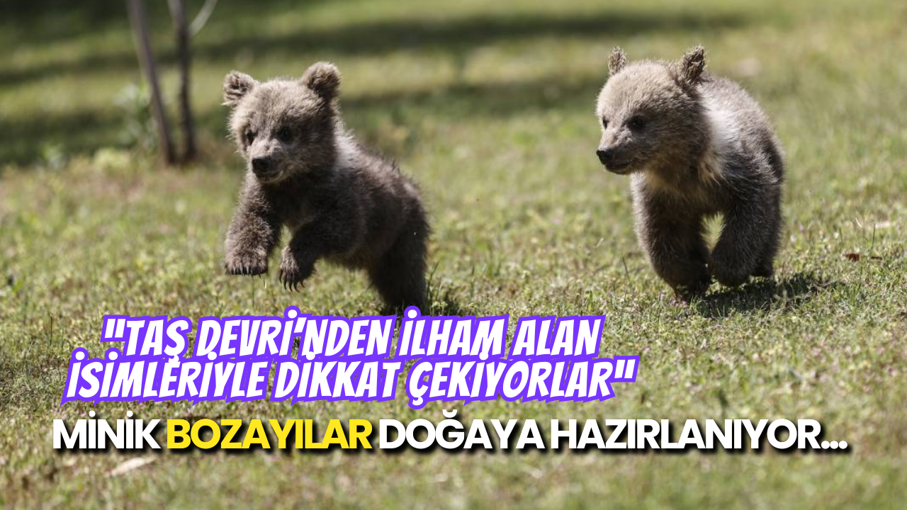Mersin'in Yeni Yıldızları: Bozayı Kardeşlerin Kurtuluş Hikâyesi!