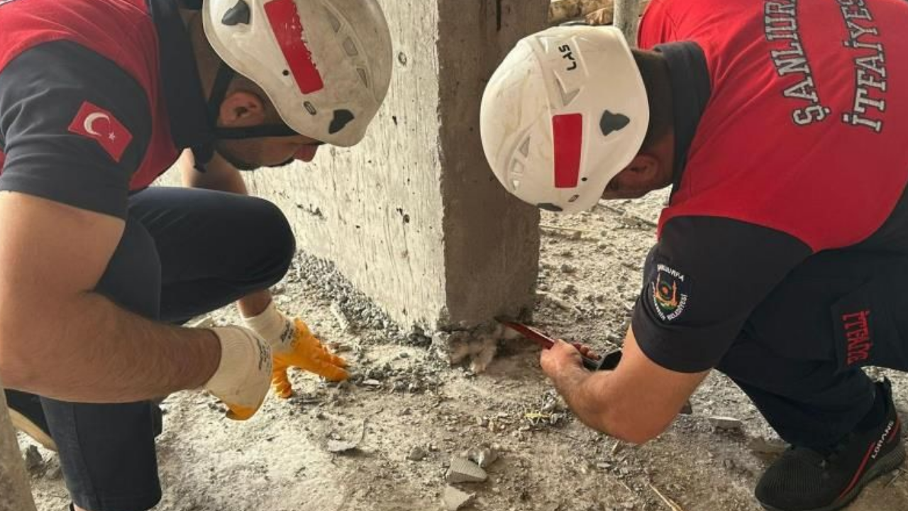 Yavru Kedinin Üzerine Beton Döküldü İtfaiye Ekipleri Tarafından Kurtarıldı (1)
