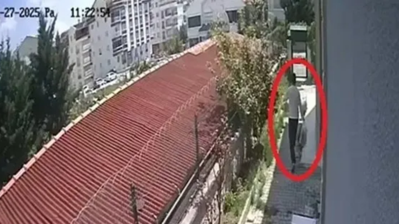 Ankara’da Doktorun Sistematik Katliamı 8 Yavru Köpeğe Yönelik Iğrenç Eylemlerde Bulunmuş! (3)