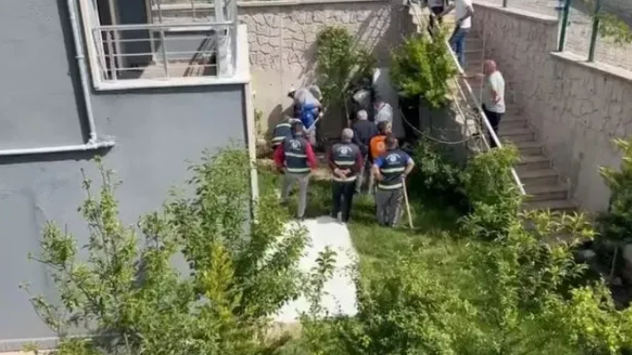 Ankara’da Doktorun Sistematik Katliamı 8 Yavru Köpeğe Yönelik Iğrenç Eylemlerde Bulunmuş!