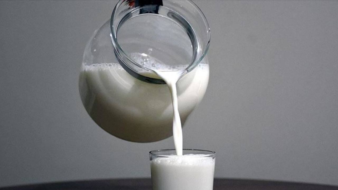 Dev Şirketler Sütü Bedava Topladı Çiftçiye Ne Para Var Ne Umut!