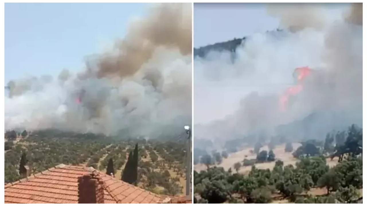 İzmir Foça’da Orman Yangını Havadan Ve Karadan Müdahale Sürüyor