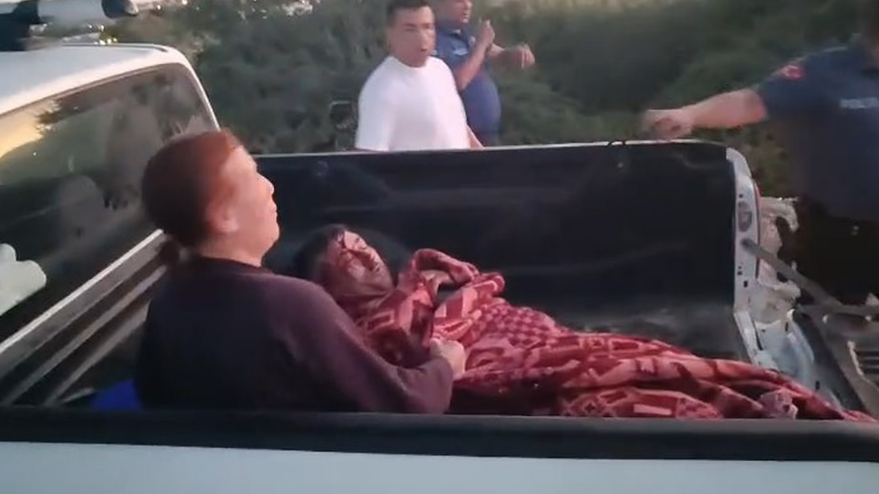 Antalya'da Çiftçiye Aslan Saldırdı, Bölgede Büyük Panik! (1)