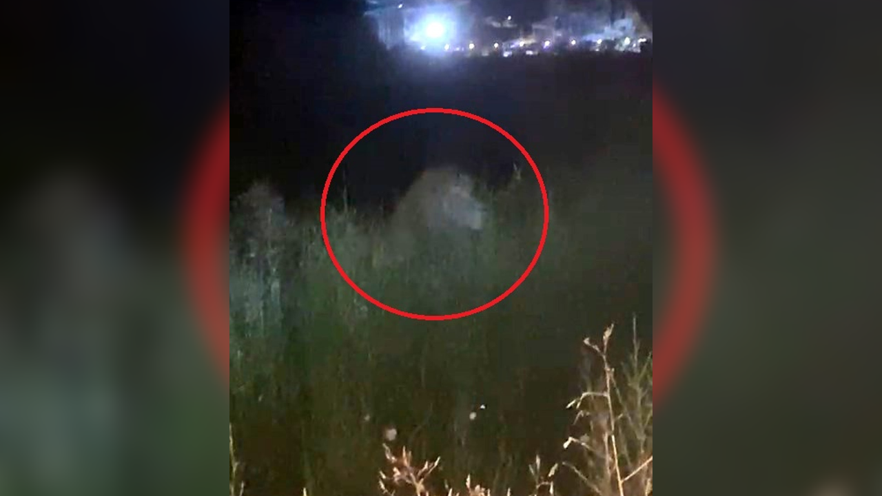 Antalya'da Çiftçiye Aslan Saldırdı, Bölgede Büyük Panik!