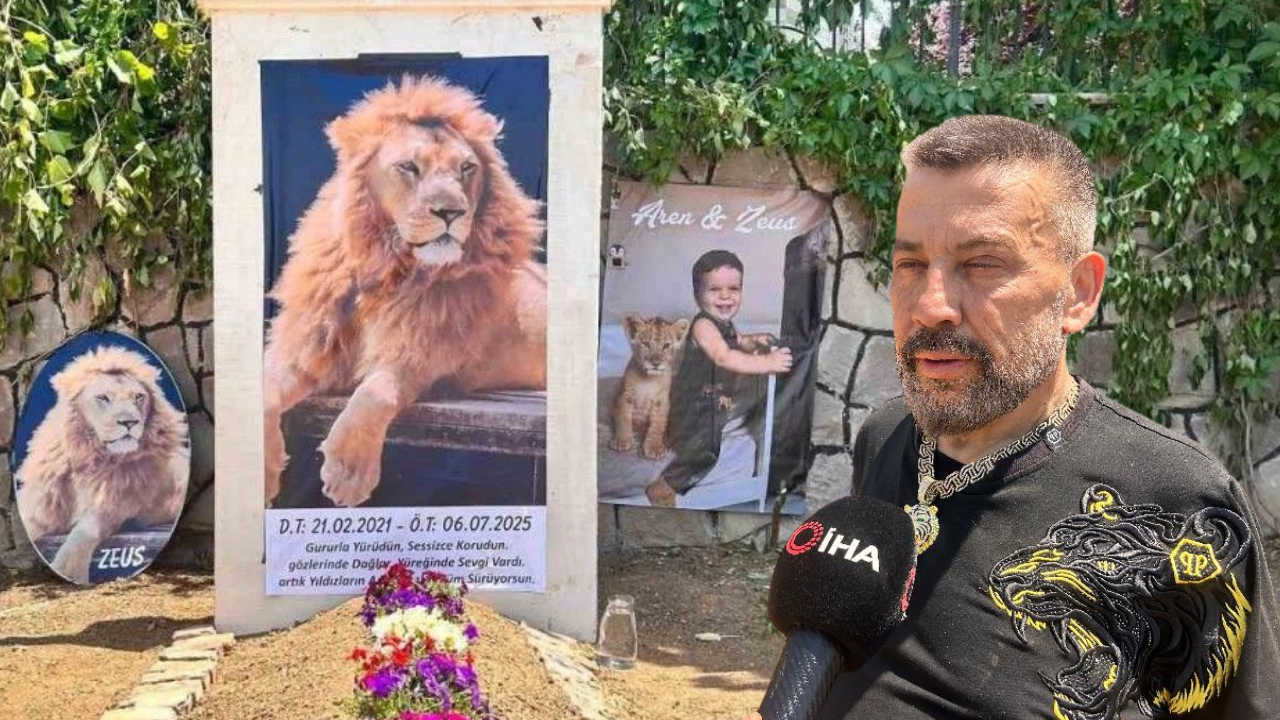 Antalya’da Çiftçiyi Yaralayan Aslan Zeus’un Sahibi Evinin Önüne Mezar Yaptırdı “Uyku Uyuyamıyorum!” (2)