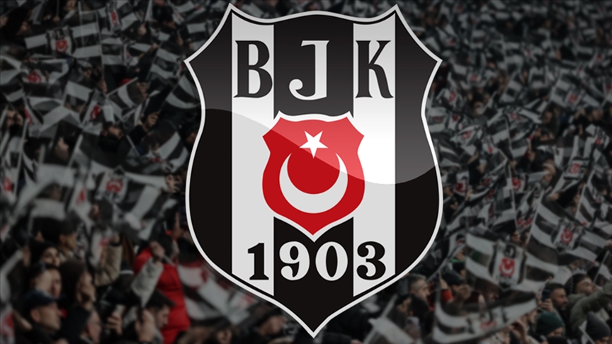 Bjk-1
