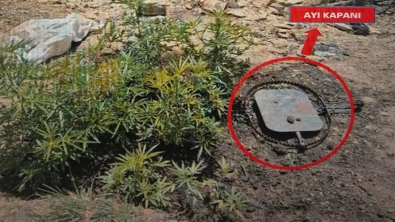 Dağlarda Yaşadı, Hayvan Derilerinden Giysi Yaptı... Tam 8 Ay Boyunca Böyle Gizlendi! (3)