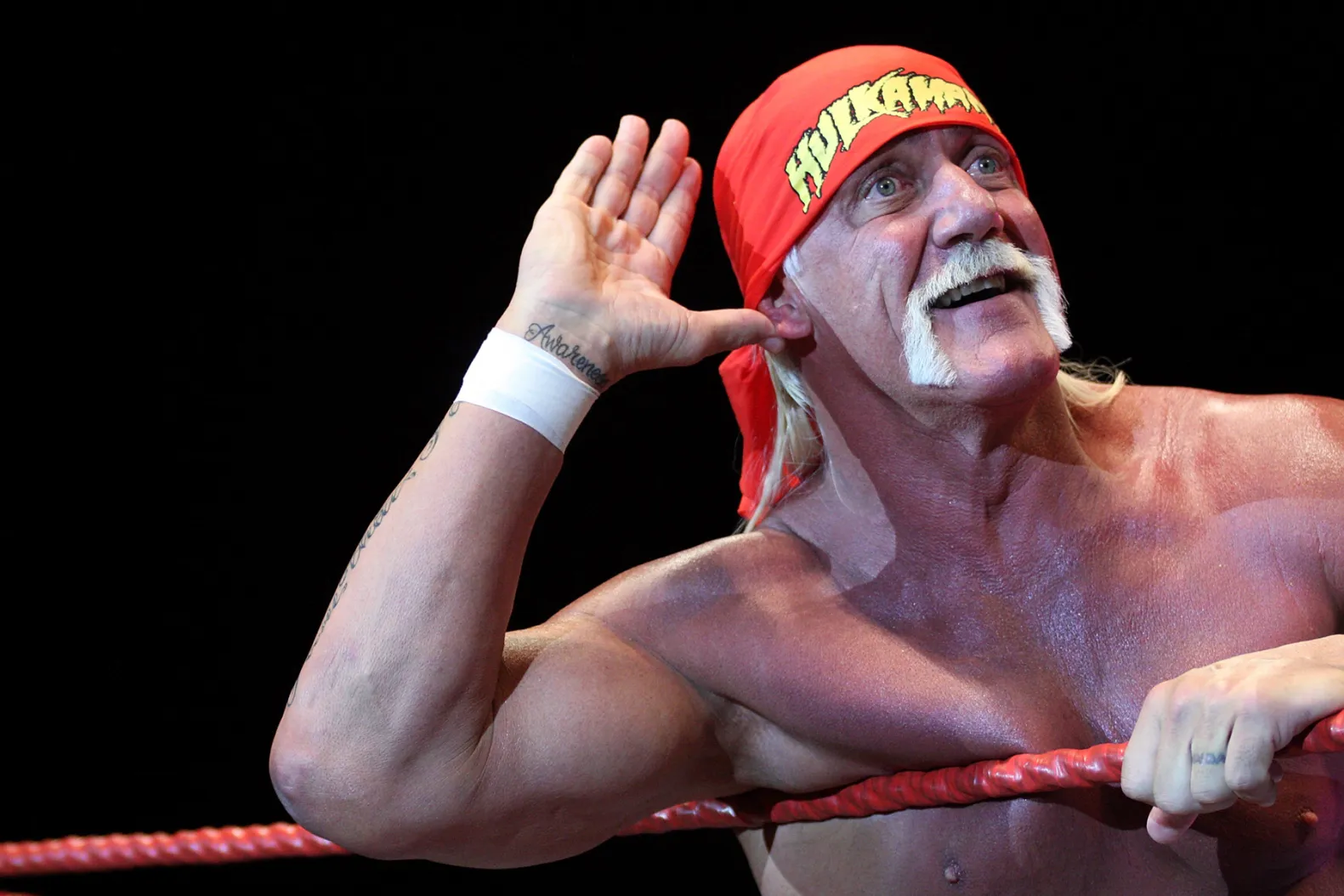 Hulk Hogan 2009