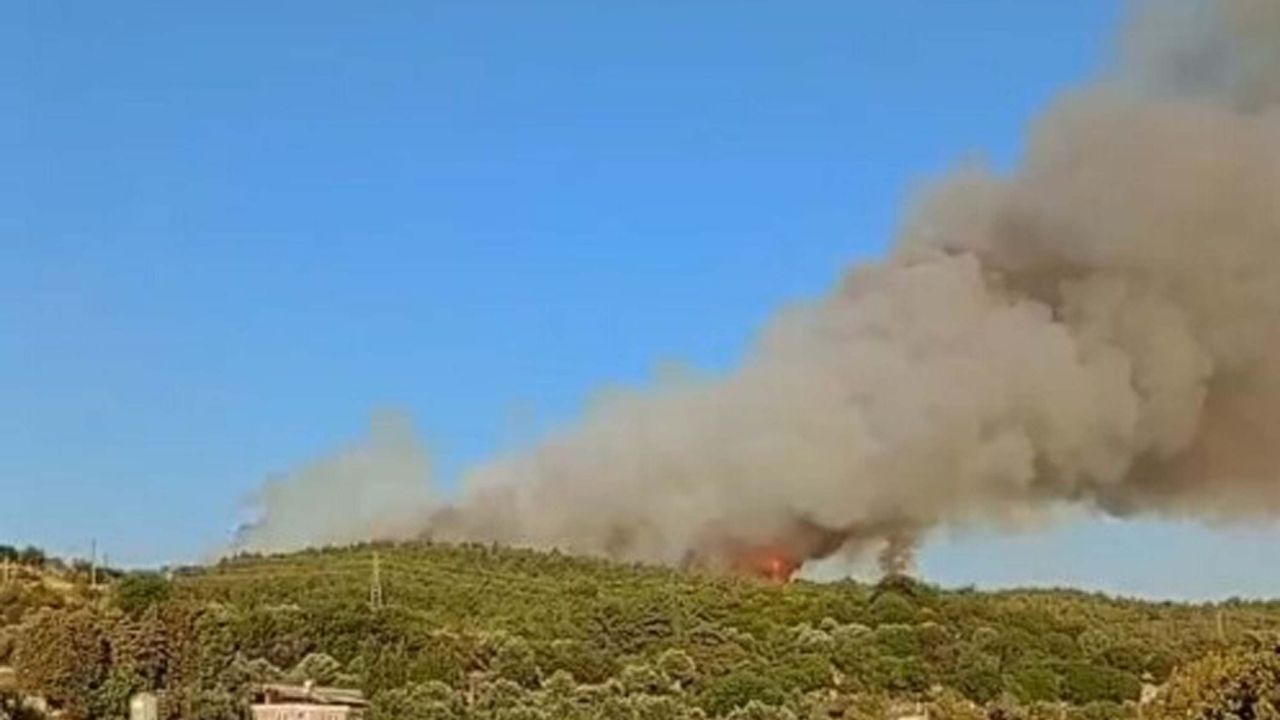 İzmir Urla'da Orman Yangını! (1)