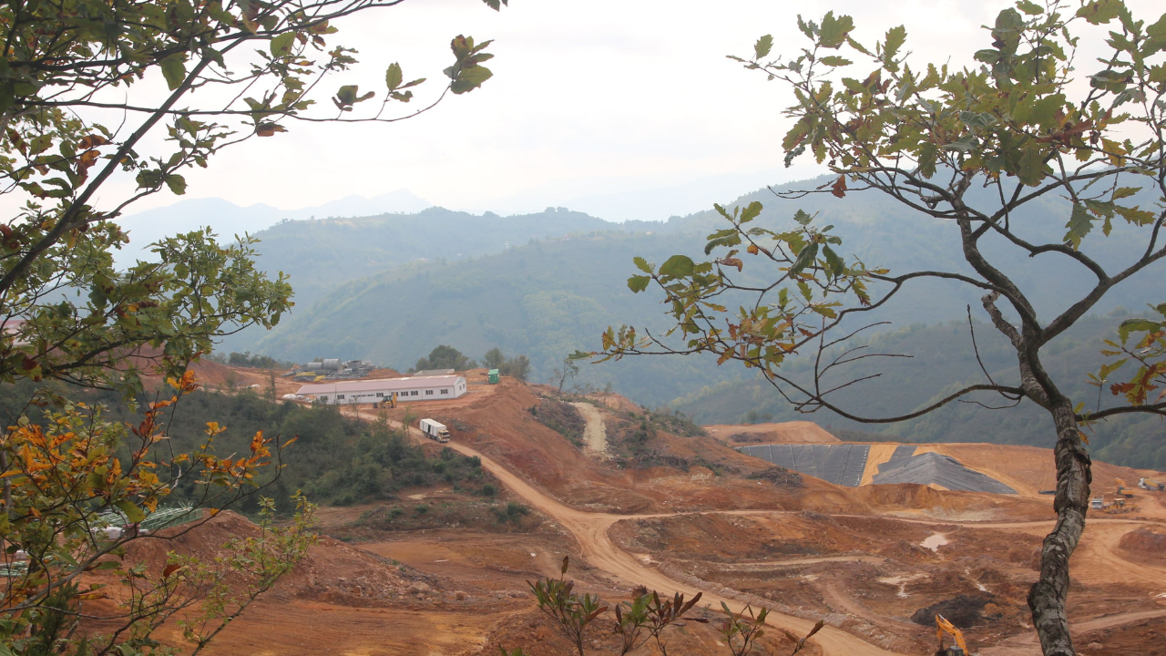 Kanun Teklifi Tbmm’de Kabul Edildi Zeytinlikler Katlediliyor! (1)