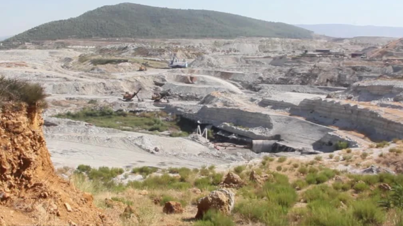Kanun Teklifi Tbmm’de Kabul Edildi Zeytinlikler Katlediliyor! (2)