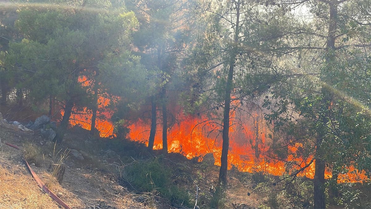 Sakarya Ve Bilecik'te Orman Yangınları Ekiplerin Müdahalesi Devam Ediyor! 2