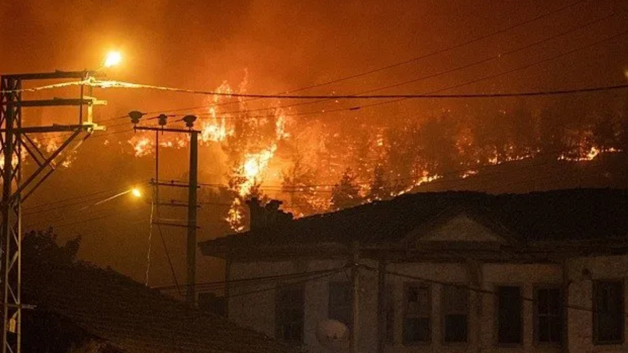 Sakarya'da Alevler Kontrolden Çıktı! (2)