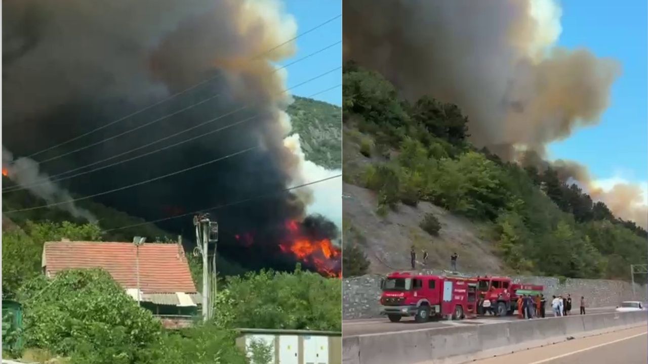Sakarya'daki Orman Yangını Yeniden Alevlendi (1)