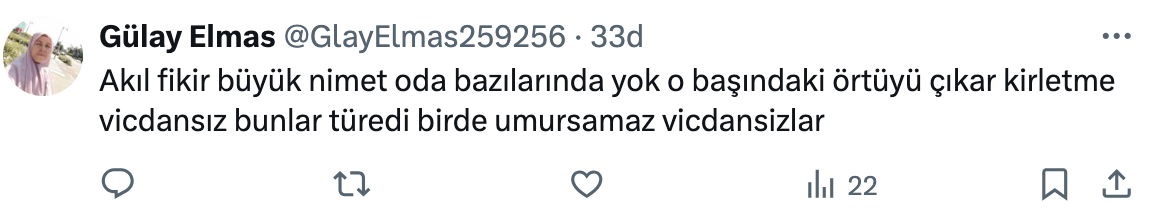 Tepki Yağdı! Bursa’daki Yangını Arka Plan Yapıp Tiktok Videosu Çekti!2025 07 27 13.04.20