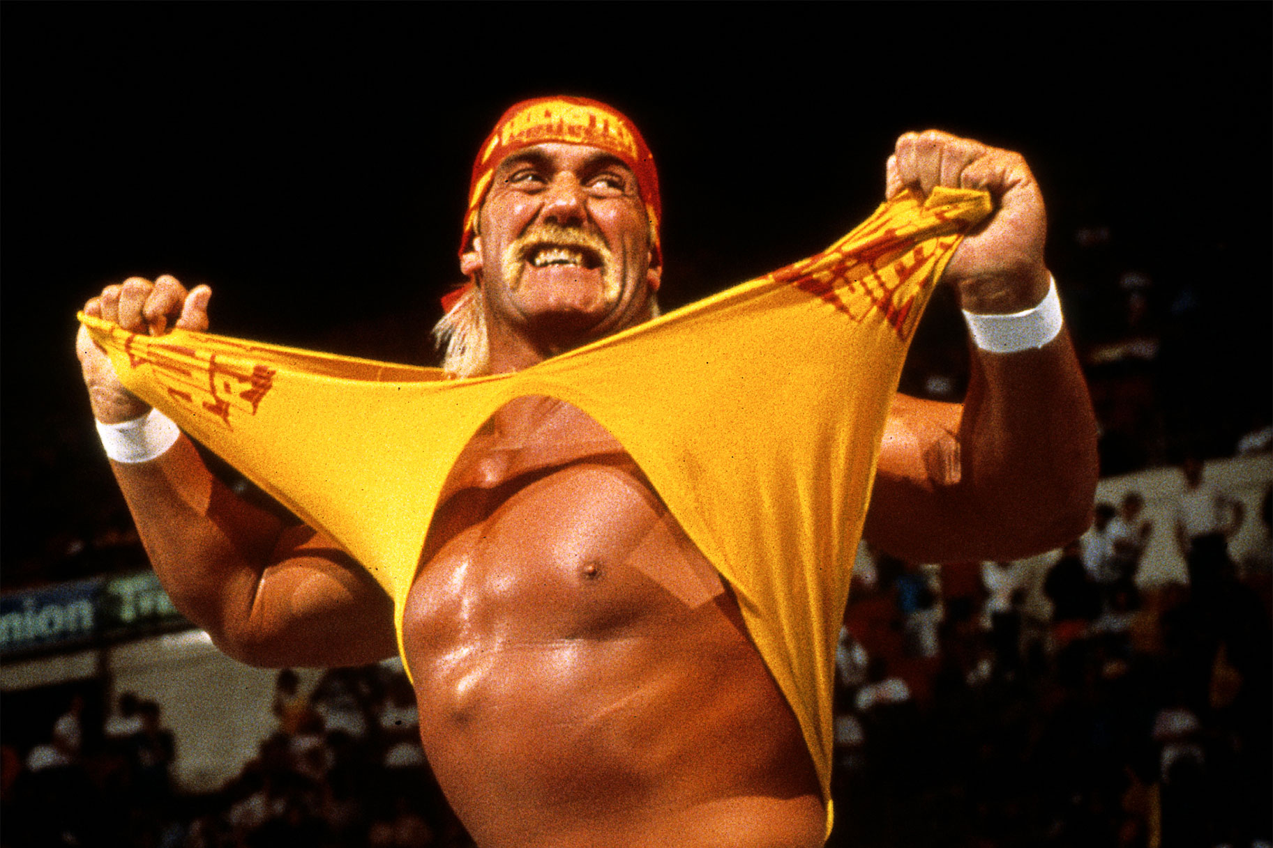 Wwe Hulk Hogan Bret Hart4