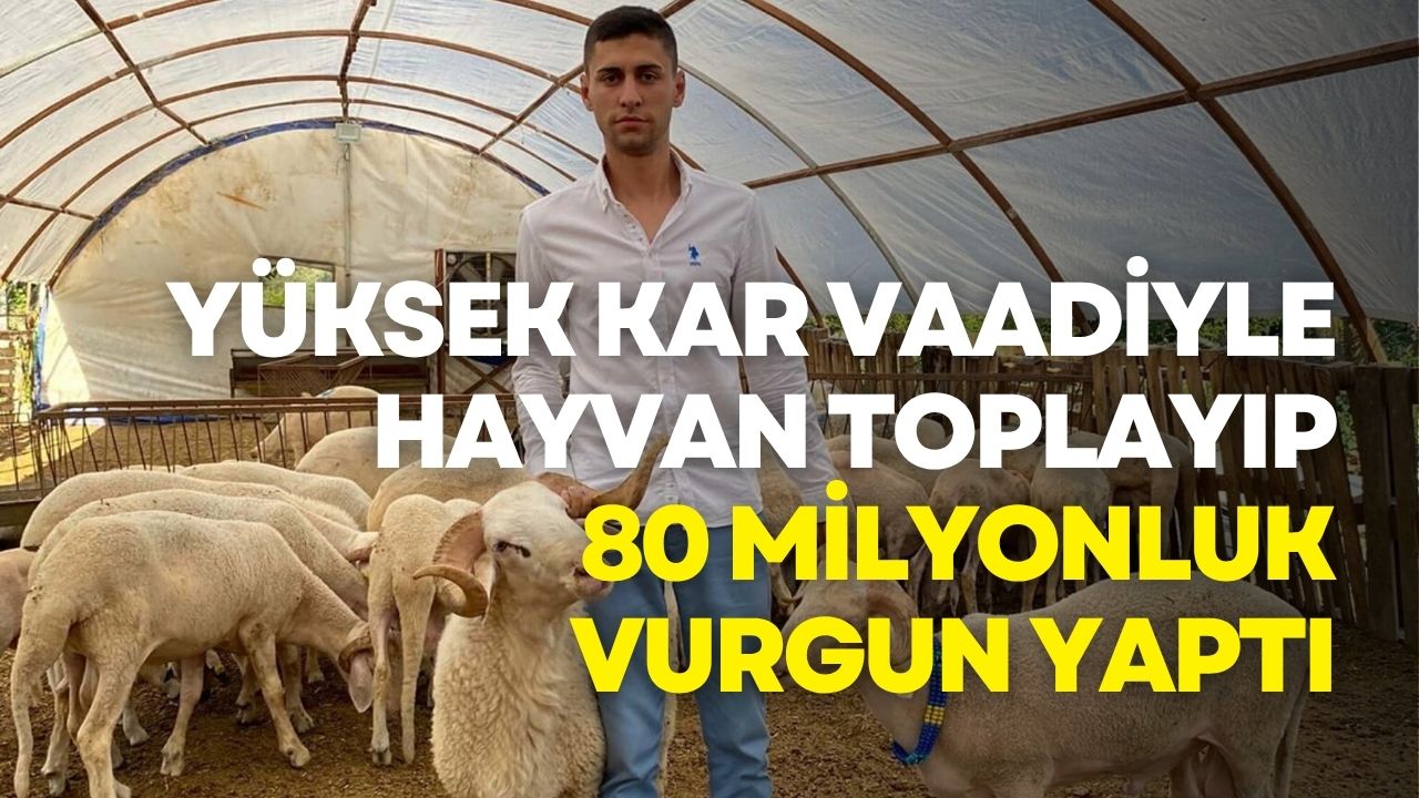 Yüksek Kar Vaadiyle Hayvan Toplayıp 80 Milyonluk Vurgun Yaptı!