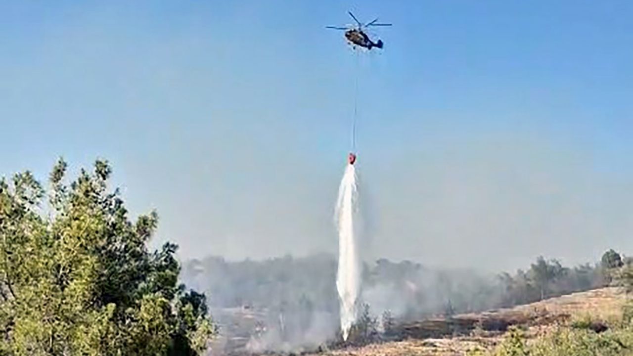Adana’da Orman Yangını (1)