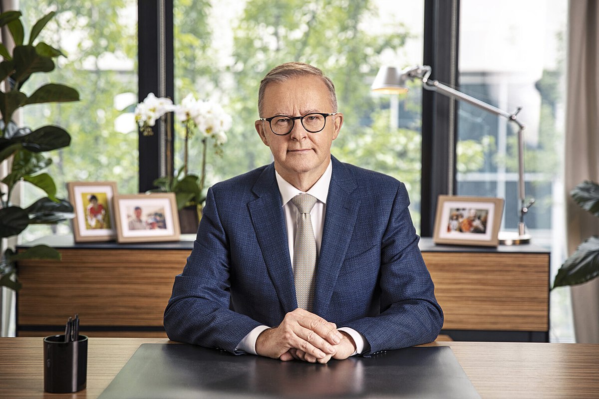 Anthony Albanese Portrait