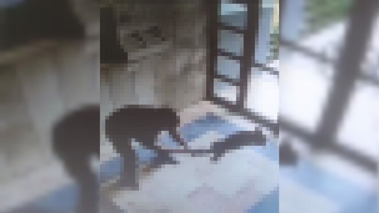 Bakan Tunç “Cezve”Yi Işkence Ederek Öldüren Cani Hakkında Konuştu! (1)