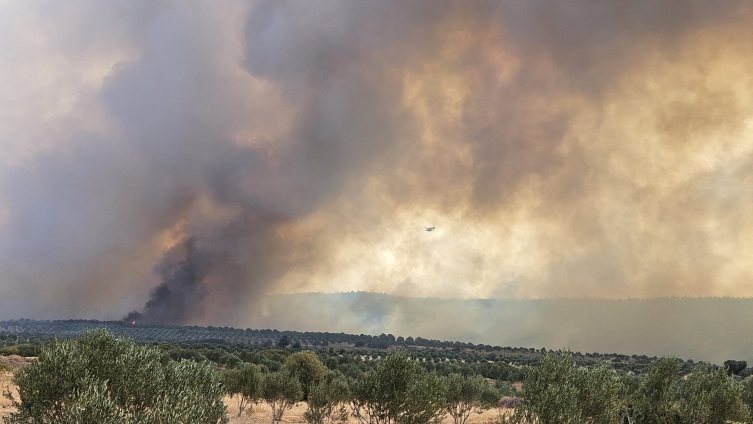 Çanakkale Alarmda 7 Köy Boşaltıldı, Yangın Yerleşimlere Ulaşabilir! 13