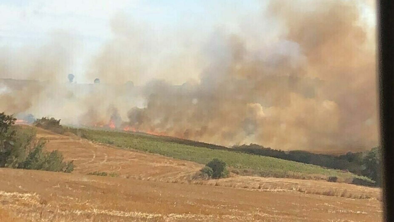 Çanakkale’de Tarım Arazisinde Yangın! (1)