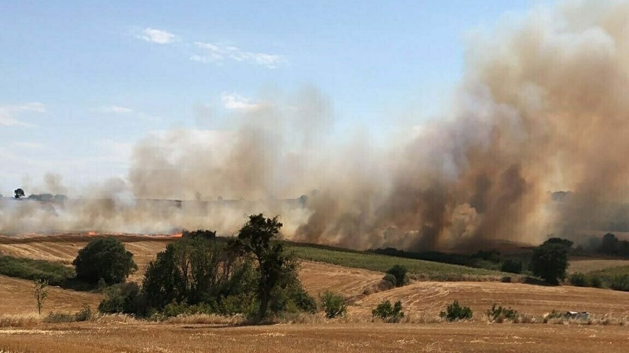 Çanakkale’de Tarım Arazisinde Yangın! (2)