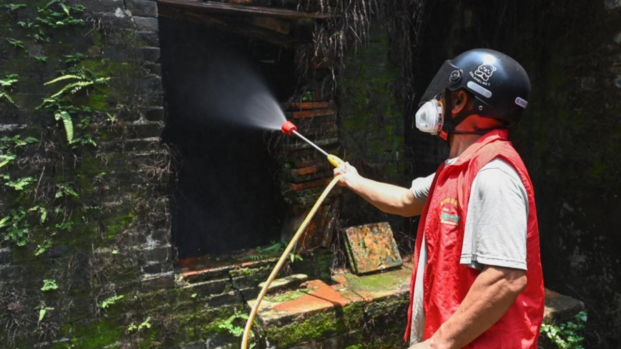 Chikungunya Alarmı Covid 19 Benzeri Tedbirler Devrede (2)