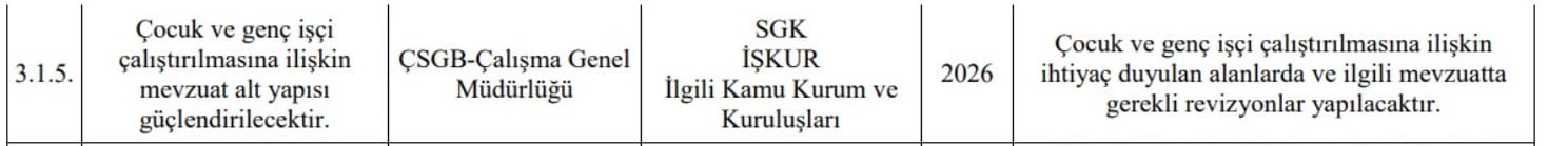 Çocuk İşçiler Ölüyor Bakanlık Resmen Önünü Açıyor! İşte Tepki Çeken O Madde... 1