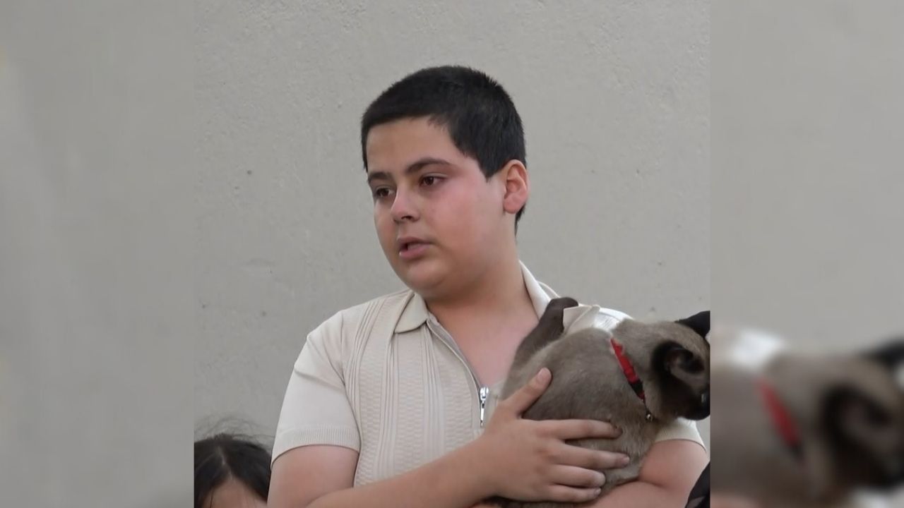 Evleri Yanan Aile Üyeleri Teselliyi Kedilerine Sarılmakta Buldu (5)