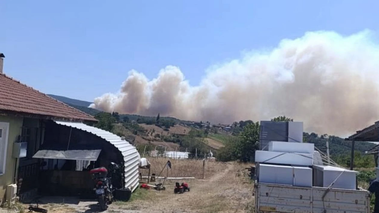 Kocaeli, Bartın Ve Bursa’da Eş Zamanlı Orman Yangını