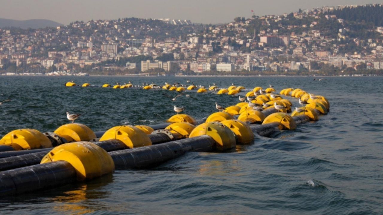 Körfez Temizlendi Balık Nüfusu Yüzde 35 Arttı (4)