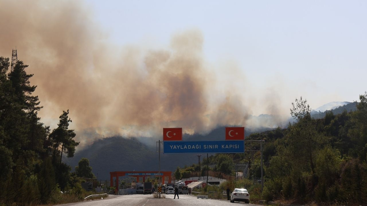 Suriye’de Başlayan Orman Yangını Türkiye’ye Sıçradı! (1)
