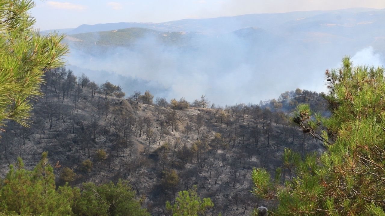 Tokat’taki Orman Yangını Kontrol Altına Alındı (2)