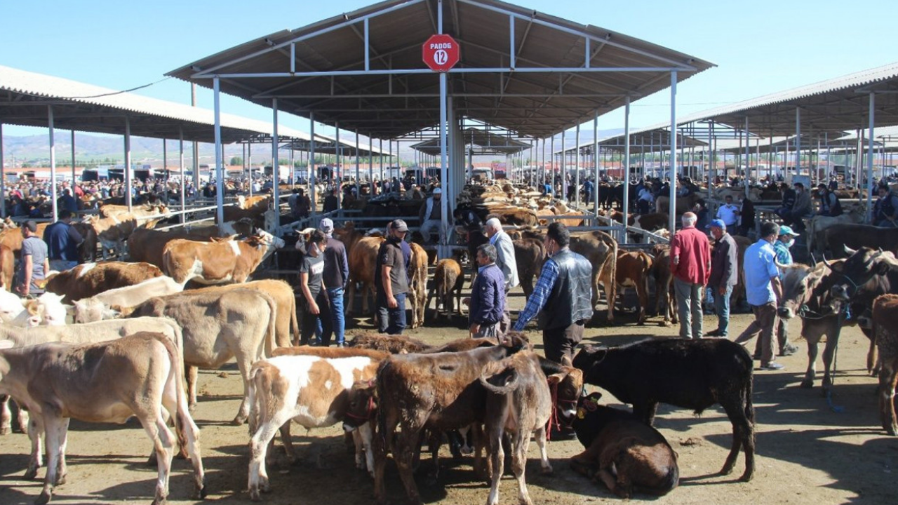 Türkiye’de Yapay Et Üretilecek Mi Bakan Yumaklı’dan İklim Kanunu Açıklaması (2)