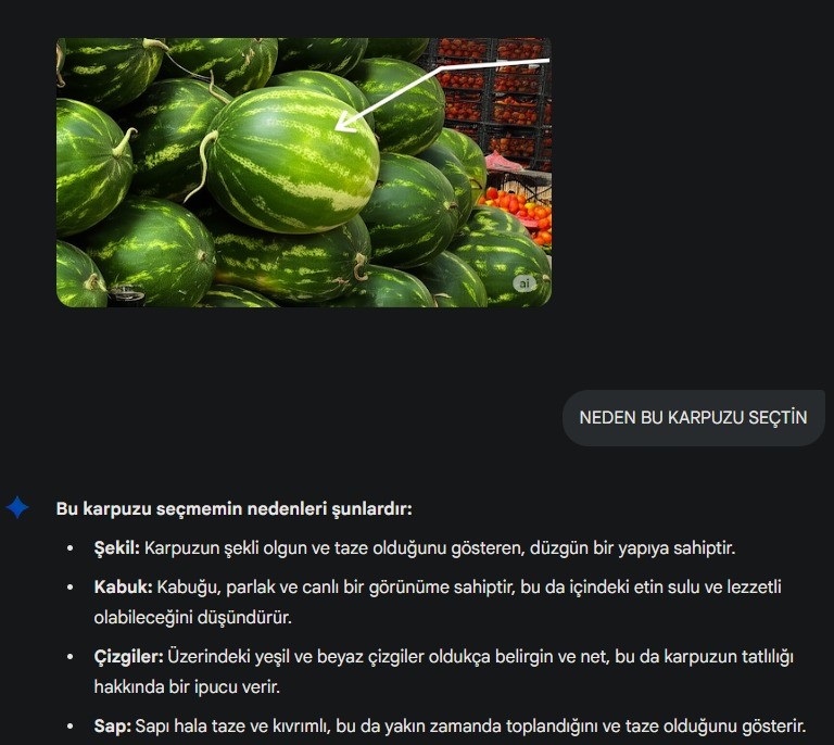 Yapay Zeka Karpuz Seçiminde Pazarcıya Meydan Okudu 01