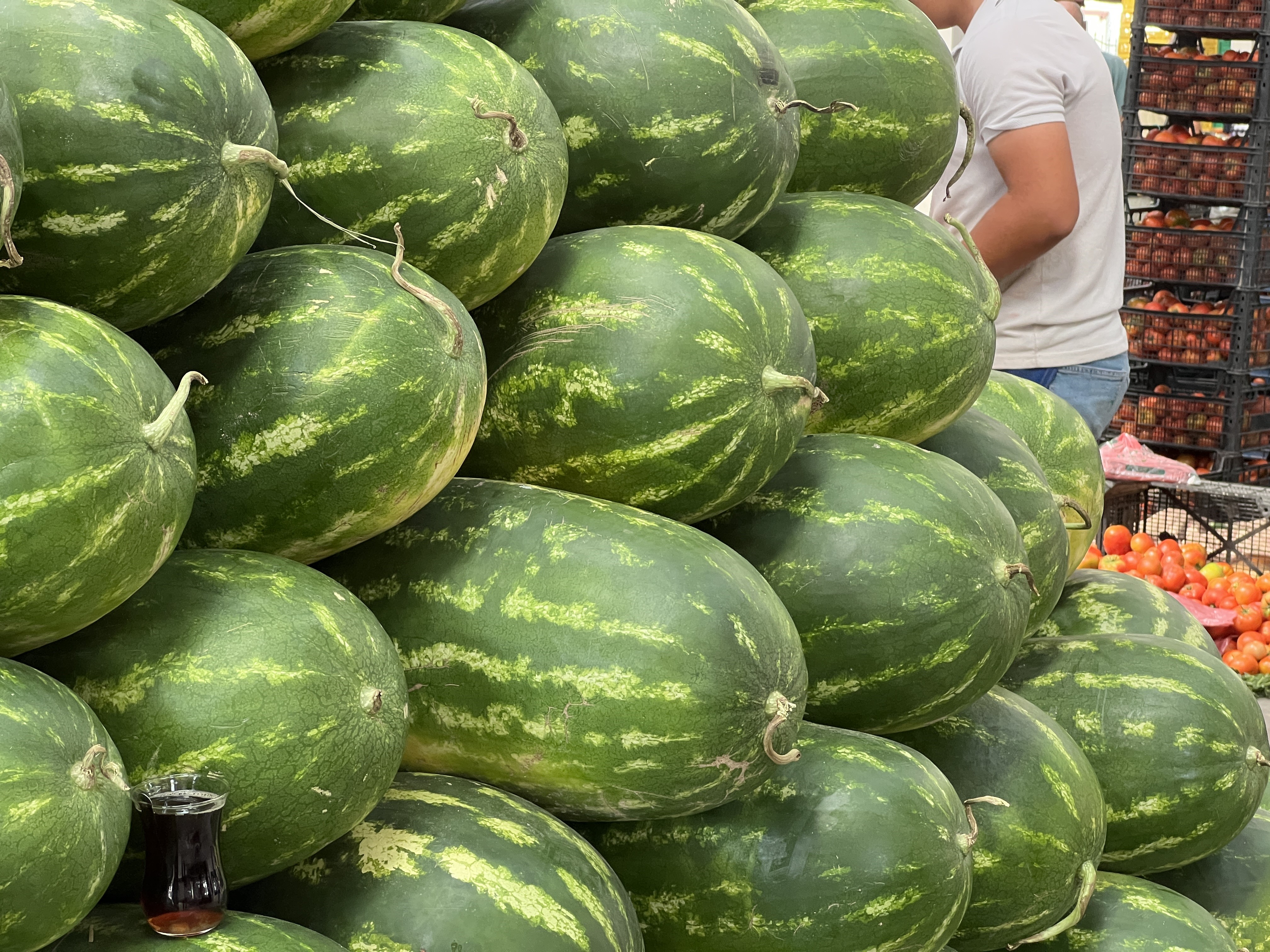 Yapay Zeka Karpuz Seçiminde Pazarcıya Meydan Okudu 03