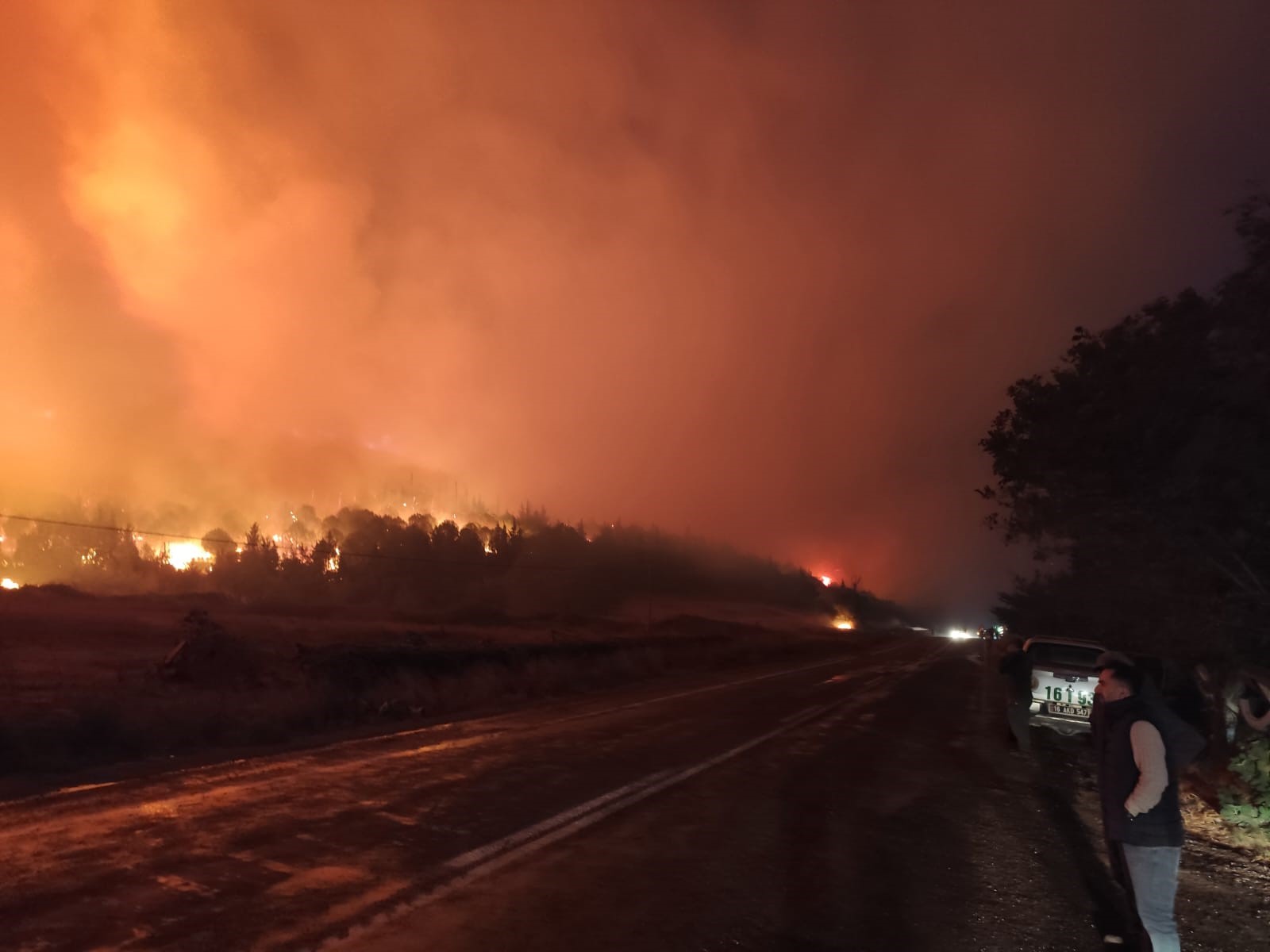 Bursa Karacabey’de orman yangını: Yerleşim yerlerini tehdit ediyor-1