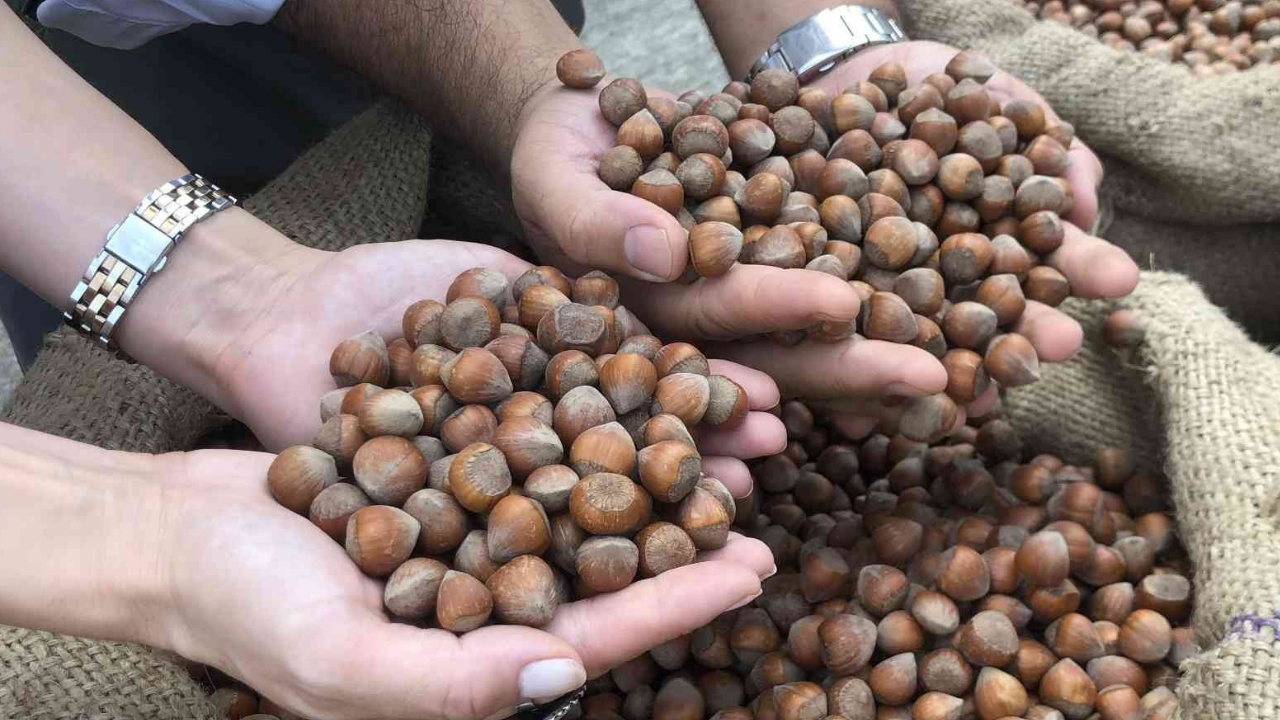 Markette Etiketler Değişti 36 Üründen 29’Una Zam Geldi (4)