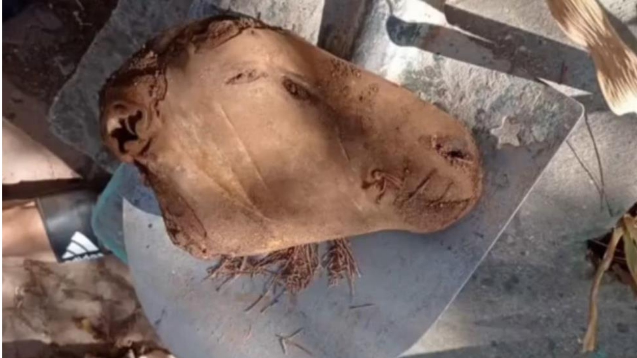 Mezardan Çıkan Büyüler Hayrete Düşürdü Koyun Kafası, Bağlanmış Bebek, Kağıtlar...