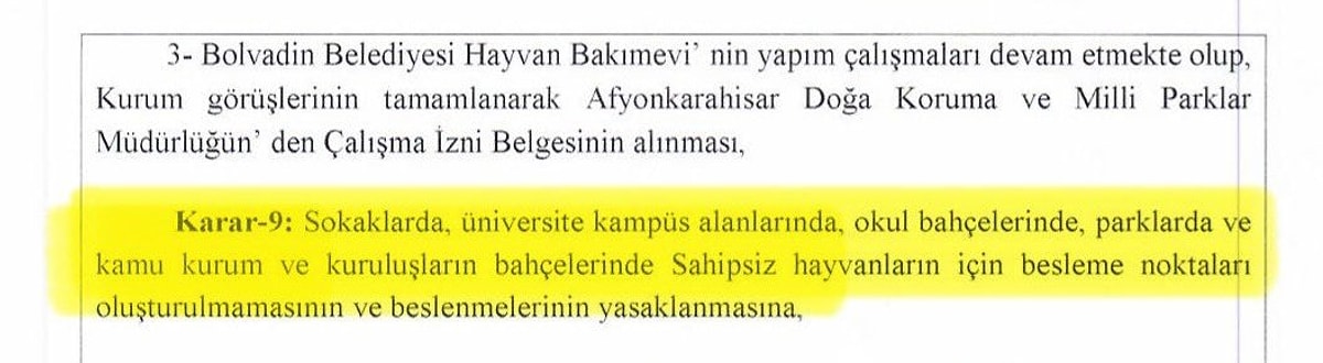 Skandal! Sokak Hayvanlarını Beslemek Yasaklandı! 1