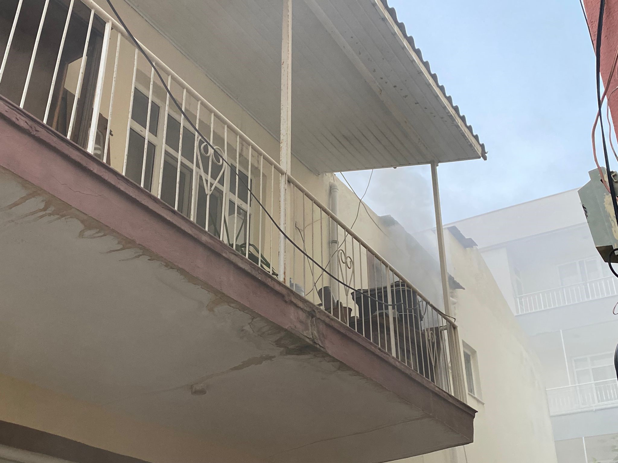 Antalya'da çıkan ev yangınında muhabbet kuşu itfaiye ekiplerince kurtarıldı-1