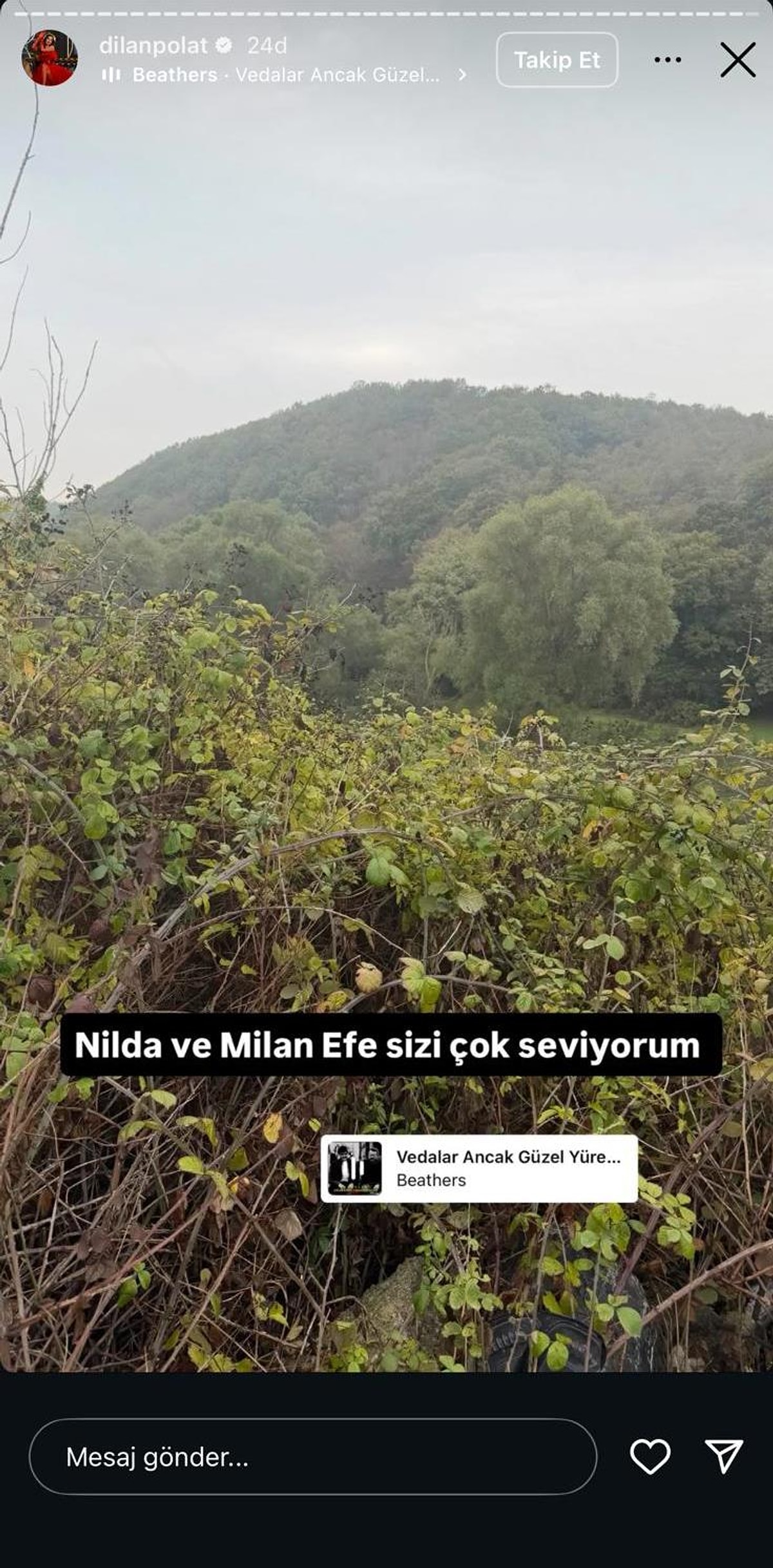 İddia Dilan Polat Köprüde Canına Kıymak İsterken Son Anda Kurtarıldı! 1