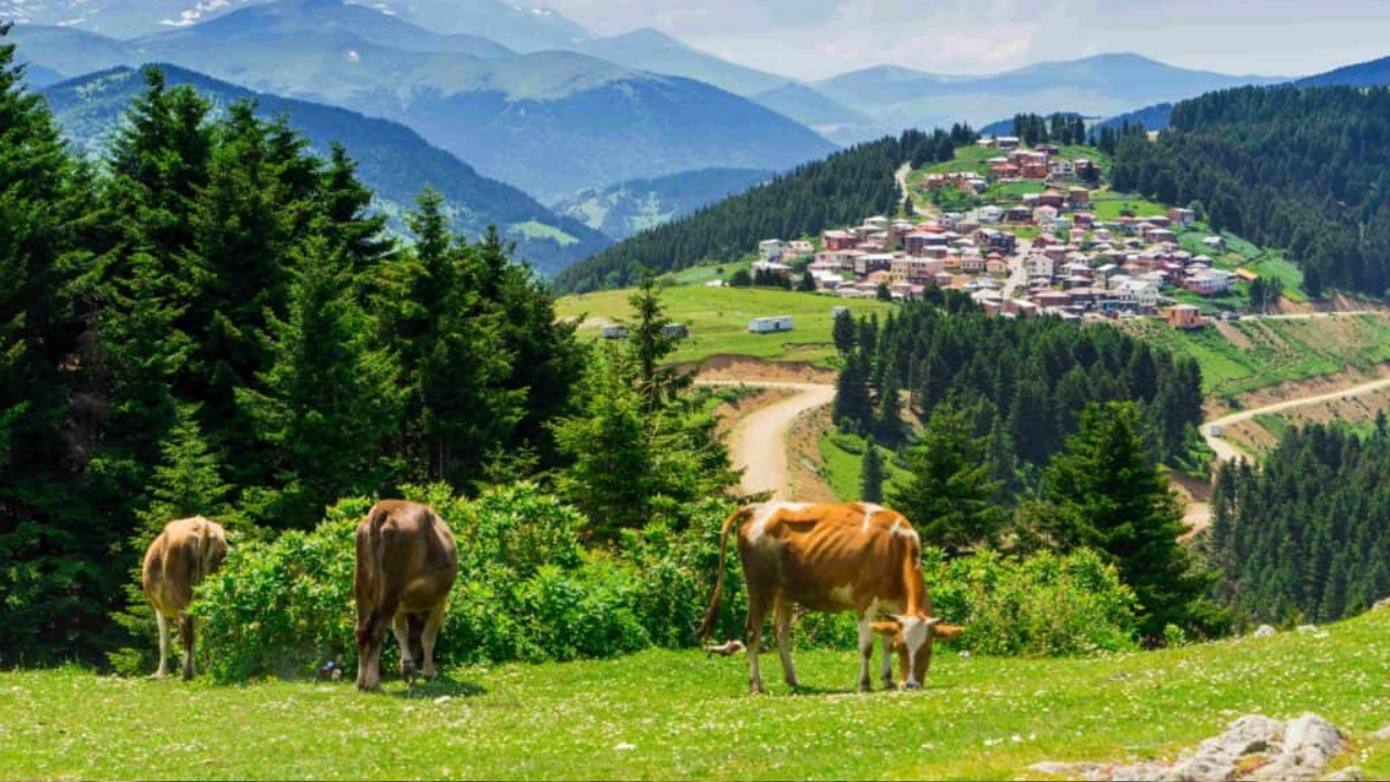 O İl İsmini Değiştirmek İstiyor 100 Bini Aşkın İmza Toplandı! (1)