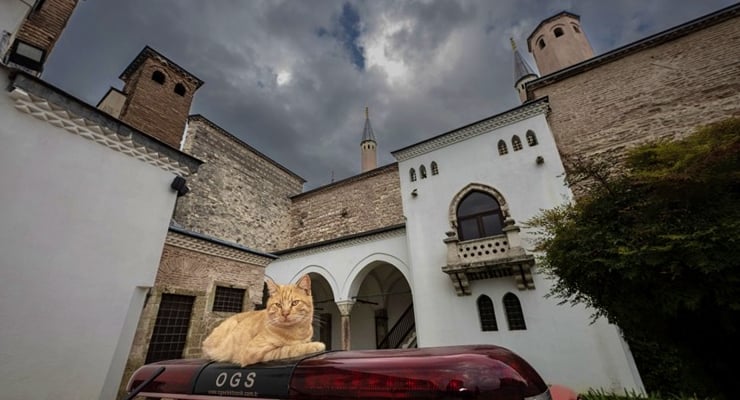 Topkapı Sarayı’nda Tarihi Kedi Kapıları Yeniden Açıldı2