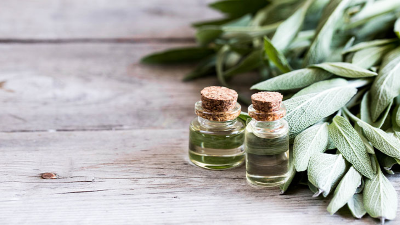 Adaçayı Ne Işe Yarar İşte Adaçayının Faydaları... (3)