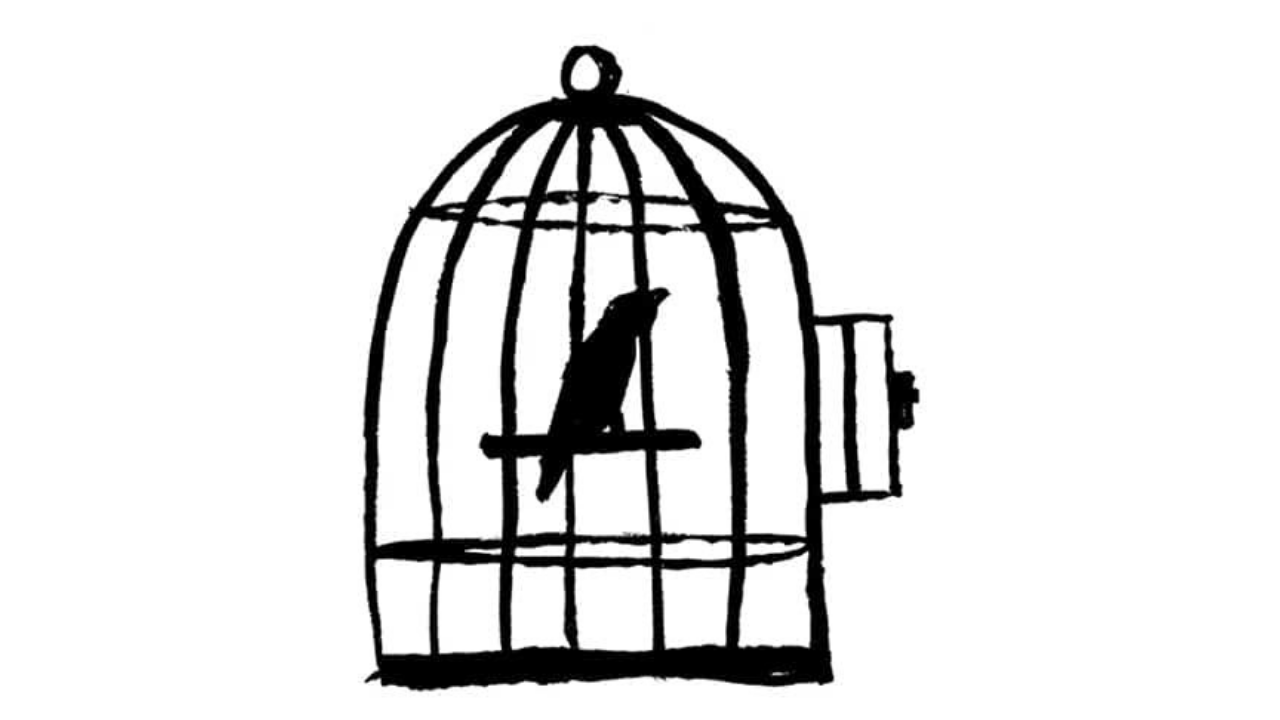 Celladına Aşık Olmak Stockholm Sendromu