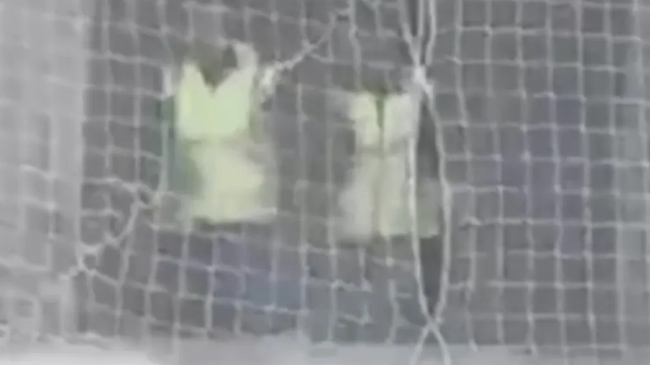 İstanbul’da 10 Kasım’da Halay Çekerek Tepki Toplayan Işçiler Gözaltına Alındı (1)